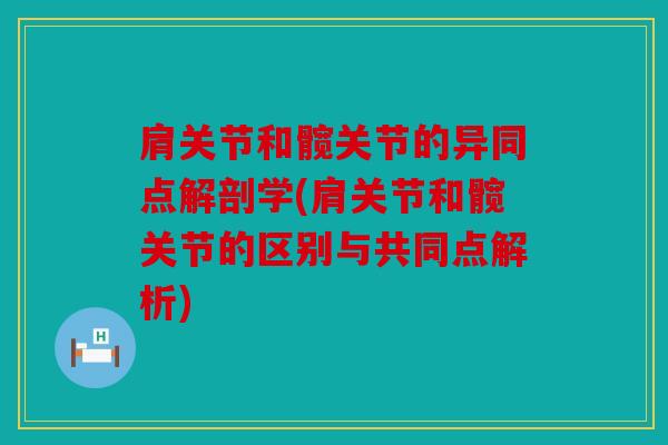 肩关节和髋关节的异同点解剖学(肩关节和髋关节的区别与共同点解析)