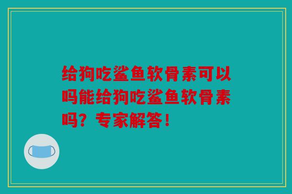 给狗吃鲨鱼软骨素可以吗能给狗吃鲨鱼软骨素吗？专家解答！