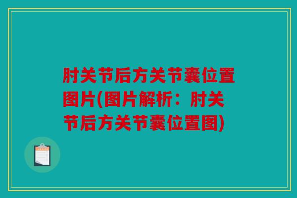 肘关节后方关节囊位置图片(图片解析：肘关节后方关节囊位置图)