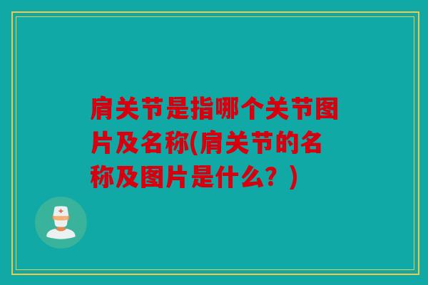 肩关节是指哪个关节图片及名称(肩关节的名称及图片是什么？)