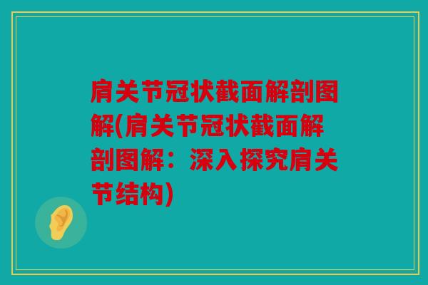 肩关节冠状截面解剖图解(肩关节冠状截面解剖图解：深入探究肩关节结构)