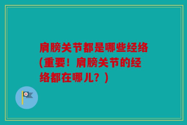 肩膀关节都是哪些经络(重要！肩膀关节的经络都在哪儿？)