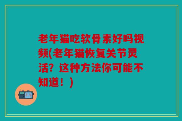老年猫吃软骨素好吗视频(老年猫恢复关节灵活？这种方法你可能不知道！)