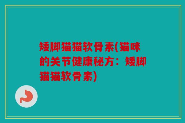 矮脚猫猫软骨素(猫咪的关节健康秘方：矮脚猫猫软骨素)