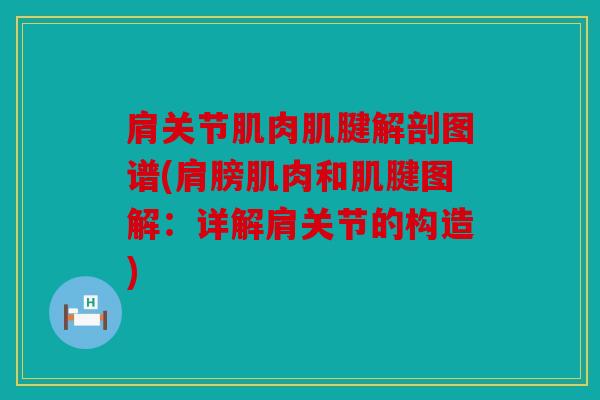 肩关节肌肉肌腱解剖图谱(肩膀肌肉和肌腱图解：详解肩关节的构造)