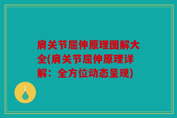 肩关节屈伸原理图解大全(肩关节屈伸原理详解：全方位动态呈现)