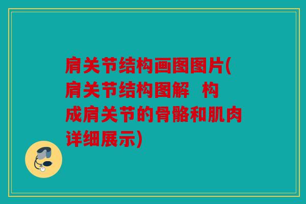 肩关节结构画图图片(肩关节结构图解  构成肩关节的骨骼和肌肉详细展示)