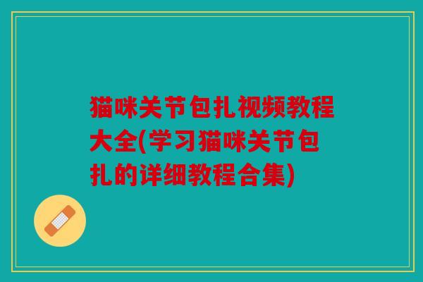 猫咪关节包扎视频教程大全(学习猫咪关节包扎的详细教程合集)