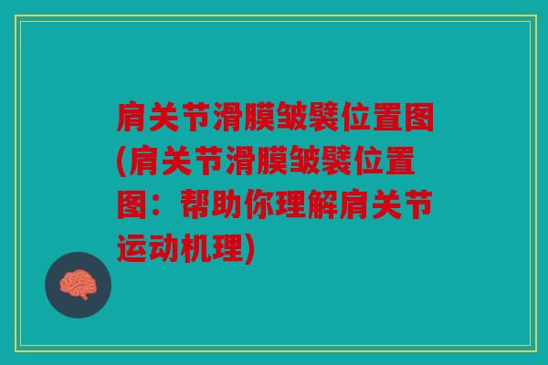 肩关节滑膜皱襞位置图(肩关节滑膜皱襞位置图：帮助你理解肩关节运动机理)