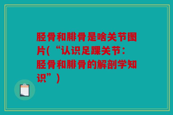 胫骨和腓骨是啥关节图片(“认识足踝关节：胫骨和腓骨的解剖学知识”)