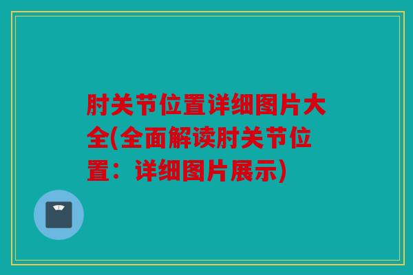 肘关节位置详细图片大全(全面解读肘关节位置：详细图片展示)