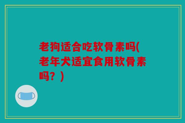 老狗适合吃软骨素吗(老年犬适宜食用软骨素吗？)