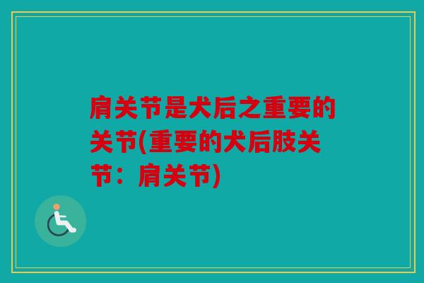 肩关节是犬后之重要的关节(重要的犬后肢关节：肩关节)