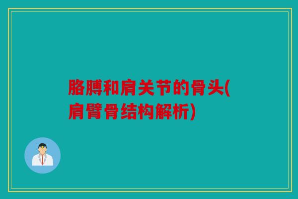 胳膊和肩关节的骨头(肩臂骨结构解析)