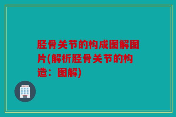 胫骨关节的构成图解图片(解析胫骨关节的构造：图解)