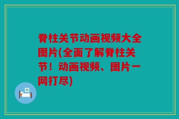 脊柱关节动画视频大全图片(全面了解脊柱关节！动画视频、图片一网打尽)