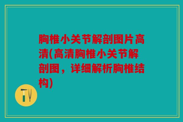 胸椎小关节解剖图片高清(高清胸椎小关节解剖图，详细解析胸椎结构)