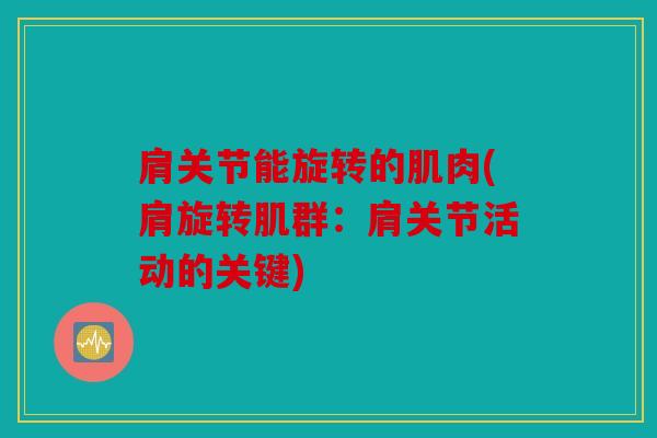 肩关节能旋转的肌肉(肩旋转肌群：肩关节活动的关键)