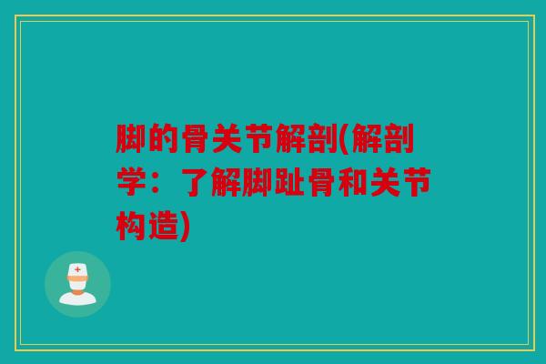 脚的骨关节解剖(解剖学：了解脚趾骨和关节构造)