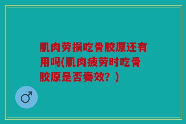 肌肉劳损吃骨胶原还有用吗(肌肉疲劳时吃骨胶原是否奏效？)