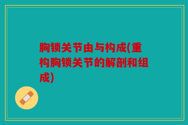 胸锁关节由与构成(重构胸锁关节的解剖和组成)