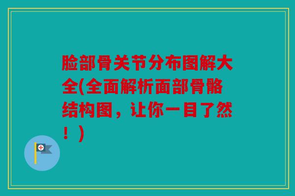 脸部骨关节分布图解大全(全面解析面部骨骼结构图，让你一目了然！)