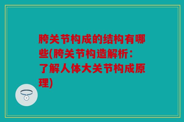 胯关节构成的结构有哪些(胯关节构造解析：了解人体大关节构成原理)