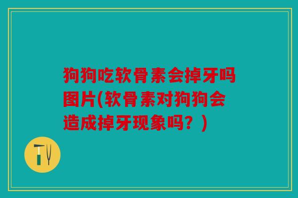 狗狗吃软骨素会掉牙吗图片(软骨素对狗狗会造成掉牙现象吗？)
