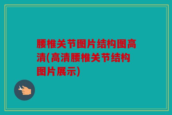 腰椎关节图片结构图高清(高清腰椎关节结构图片展示)