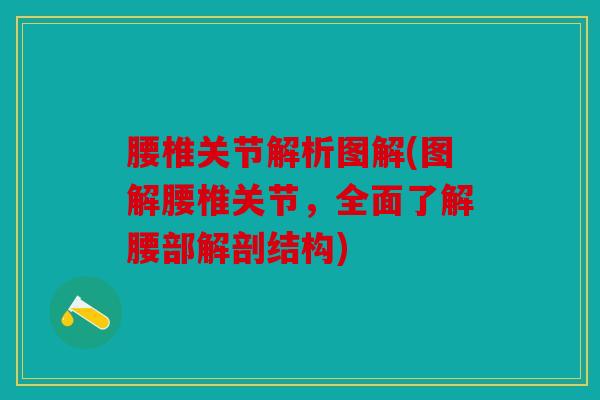腰椎关节解析图解(图解腰椎关节，全面了解腰部解剖结构)