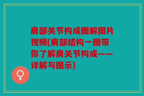肩部关节构成图解图片视频(肩部结构一图带你了解肩关节构成——详解与图示)