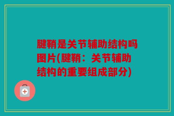 腱鞘是关节辅助结构吗图片(腱鞘：关节辅助结构的重要组成部分)