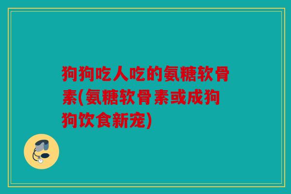 狗狗吃人吃的氨糖软骨素(氨糖软骨素或成狗狗饮食新宠)