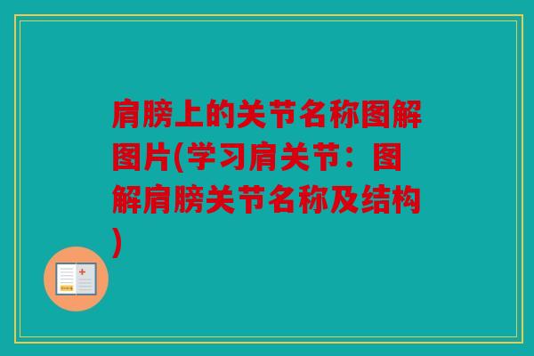 肩膀上的关节名称图解图片(学习肩关节：图解肩膀关节名称及结构)