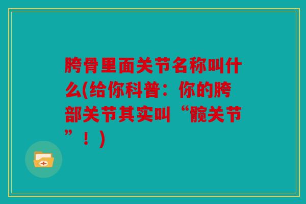 胯骨里面关节名称叫什么(给你科普：你的胯部关节其实叫“髋关节”！)