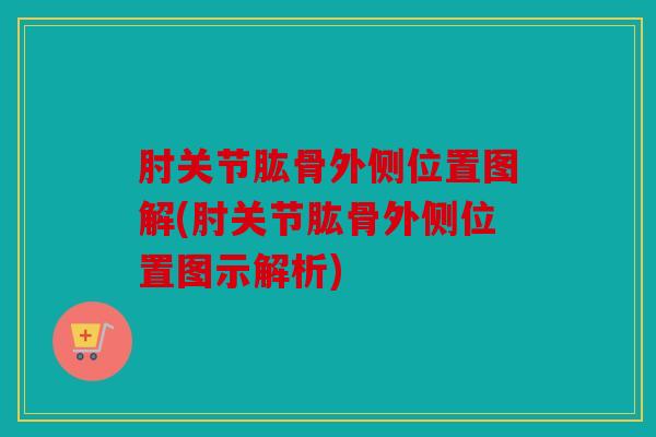 肘关节肱骨外侧位置图解(肘关节肱骨外侧位置图示解析)