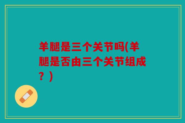 羊腿是三个关节吗(羊腿是否由三个关节组成？)