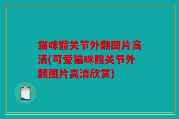 猫咪髋关节外翻图片高清(可爱猫咪髋关节外翻图片高清欣赏)