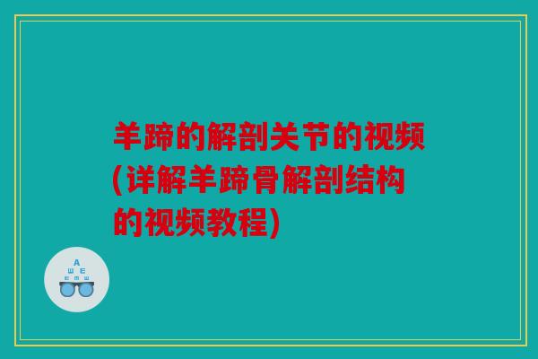羊蹄的解剖关节的视频(详解羊蹄骨解剖结构的视频教程)