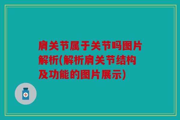 肩关节属于关节吗图片解析(解析肩关节结构及功能的图片展示)