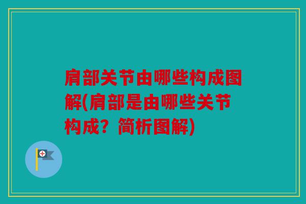 肩部关节由哪些构成图解(肩部是由哪些关节构成？简析图解)