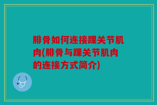 腓骨如何连接踝关节肌肉(腓骨与踝关节肌肉的连接方式简介)