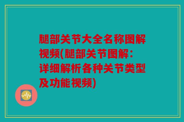 腿部关节大全名称图解视频(腿部关节图解：详细解析各种关节类型及功能视频)