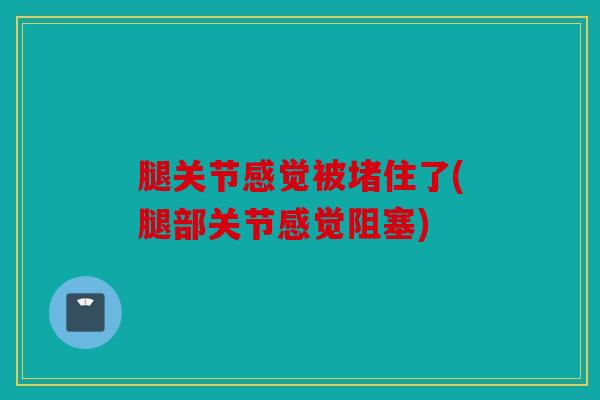 腿关节感觉被堵住了(腿部关节感觉阻塞)