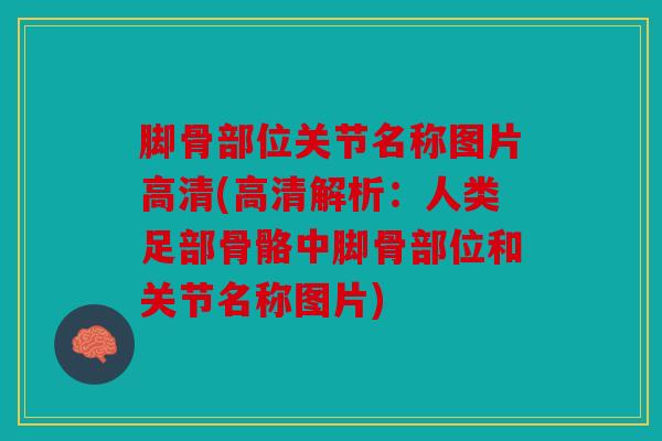 脚骨部位关节名称图片高清(高清解析：人类足部骨骼中脚骨部位和关节名称图片)