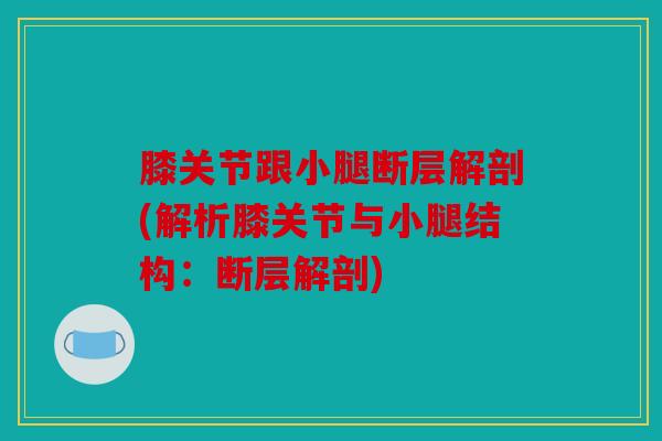 膝关节跟小腿断层解剖(解析膝关节与小腿结构：断层解剖)