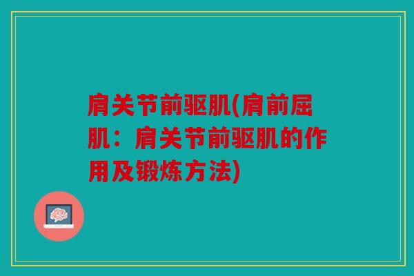 肩关节前驱肌(肩前屈肌：肩关节前驱肌的作用及锻炼方法)