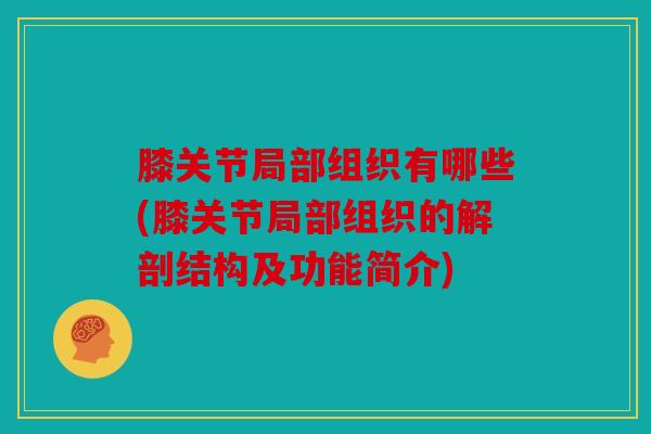 膝关节局部组织有哪些(膝关节局部组织的解剖结构及功能简介)