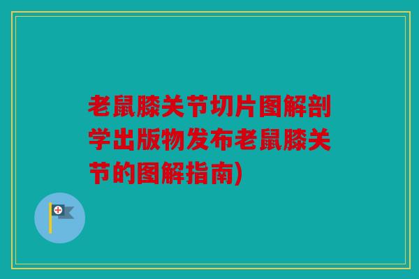 老鼠膝关节切片图解剖学出版物发布老鼠膝关节的图解指南)