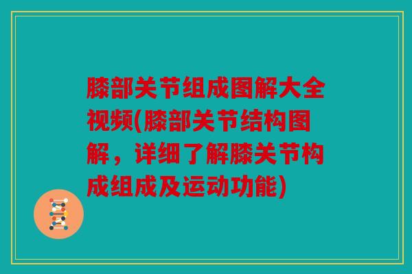 膝部关节组成图解大全视频(膝部关节结构图解，详细了解膝关节构成组成及运动功能)